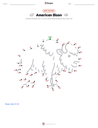 American Bison printable worksheet preview
