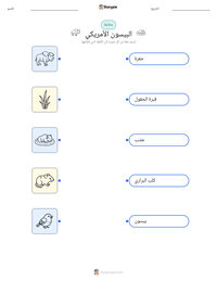 معاينة ورقة العمل القابلة للطباعة البيسون الأمريكي