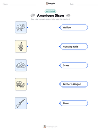 American Bison printable worksheet preview