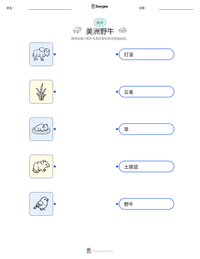 美洲野牛 可打印工作表预览