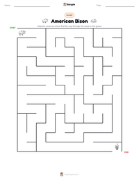 American Bison printable worksheet preview