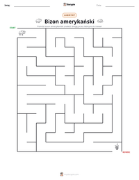 Podgląd drukowalnego arkusza ćwiczeń Bizon amerykański