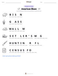 American Bison printable worksheet preview