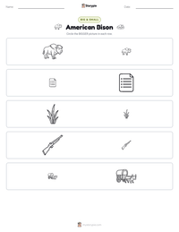 American Bison printable worksheet preview