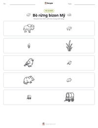 Xem trước tài liệu in sẵn Bò rừng bizon Mỹ