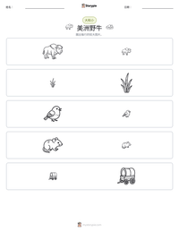 美洲野牛 可打印工作表预览