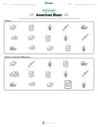 American Bison printable worksheet preview