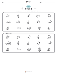 美洲野牛 可打印工作表预览