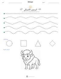 معاينة ورقة العمل القابلة للطباعة البيسون الأمريكي