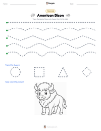 American Bison printable worksheet preview