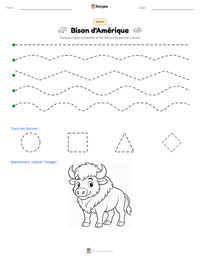 Aperçu de la feuille de travail imprimable Bison d'Amérique