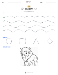 美洲野牛 可打印工作表预览