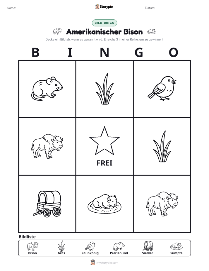 Bild-Bingo