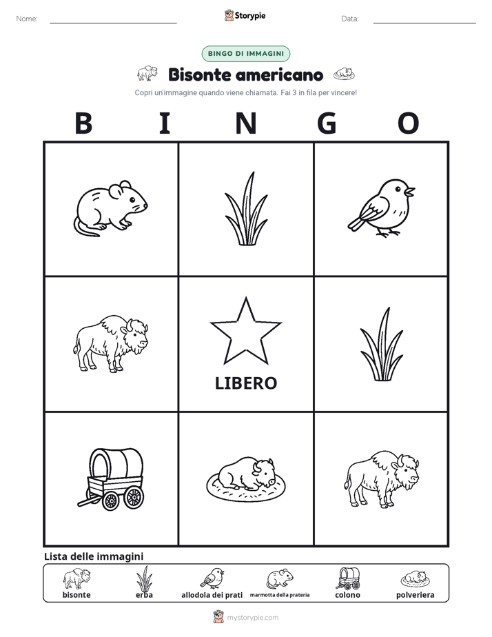 Bingo delle Immagini