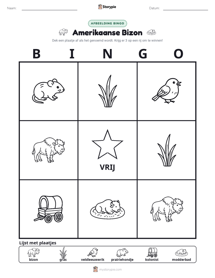 Afbeelding Bingo
