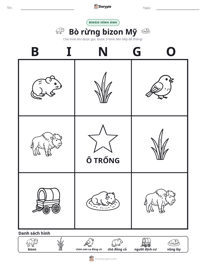 Bingo Hình Ảnh