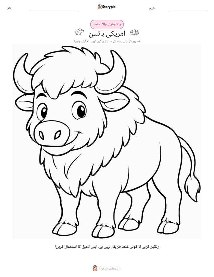 رنگ بھرنے کا صفحہ