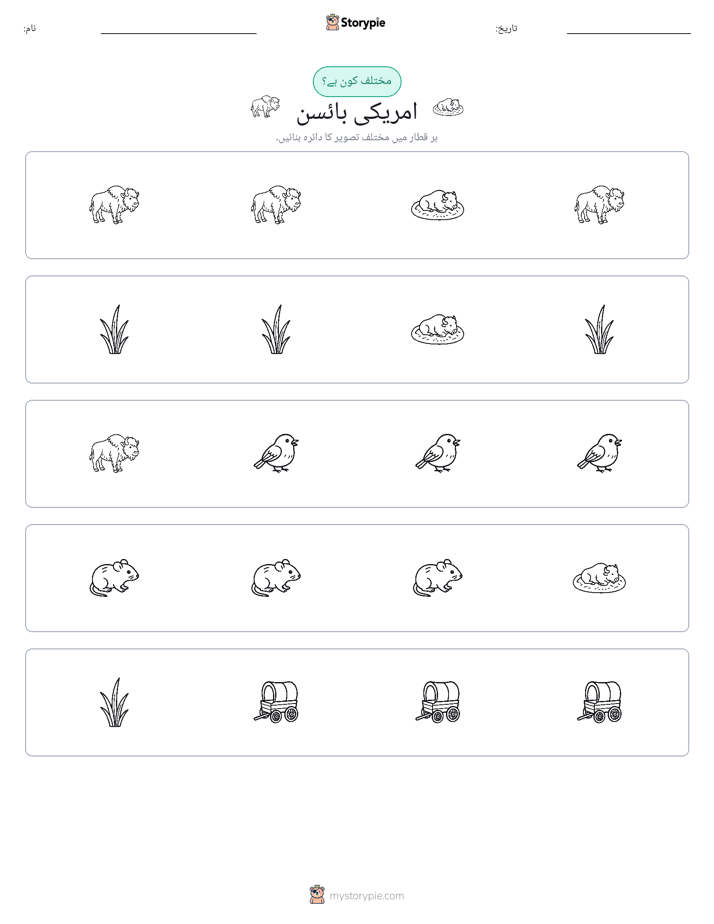 عجیب ایک