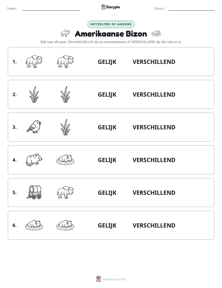 Zelfde of Verschillend