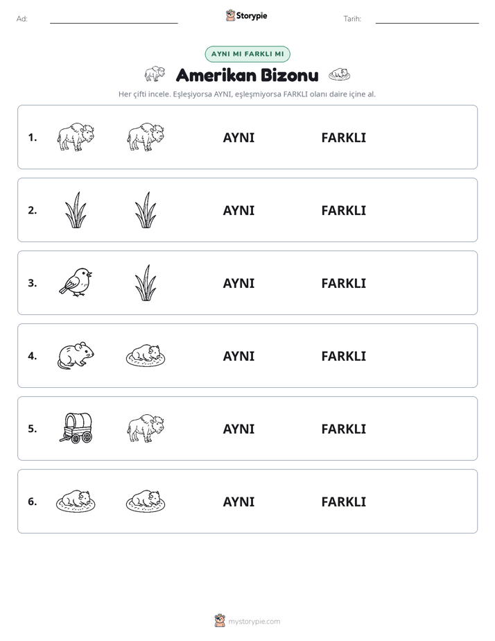 Aynı mı Farklı mı