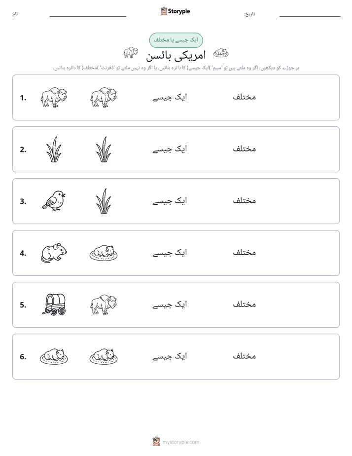 ایک جیسا یا مختلف