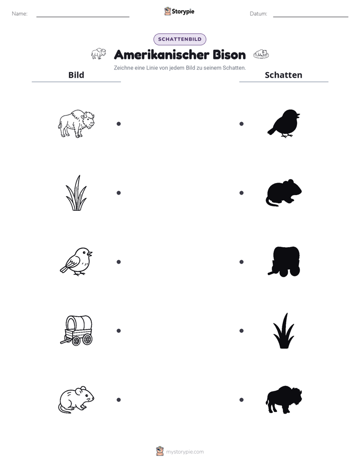 Schattenmatch