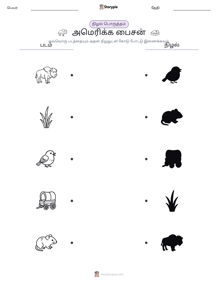 நிழல் பொருத்தம்