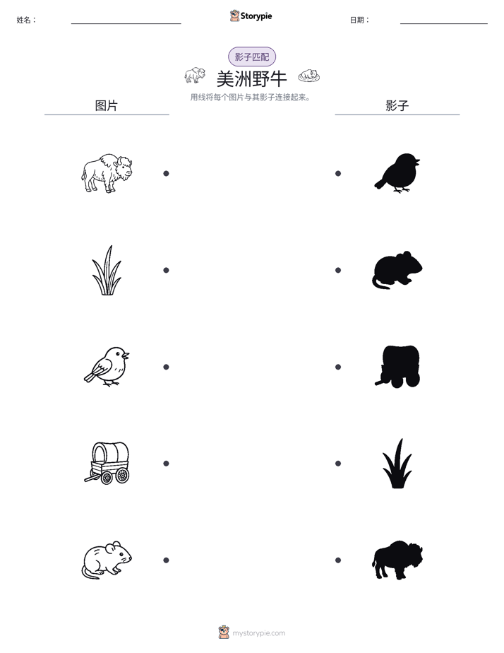 影子匹配
