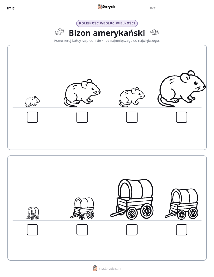 Porządek rozmiarów
