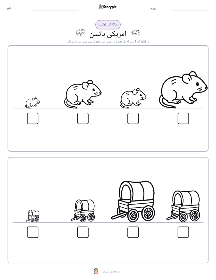 سائز کی ترتیب