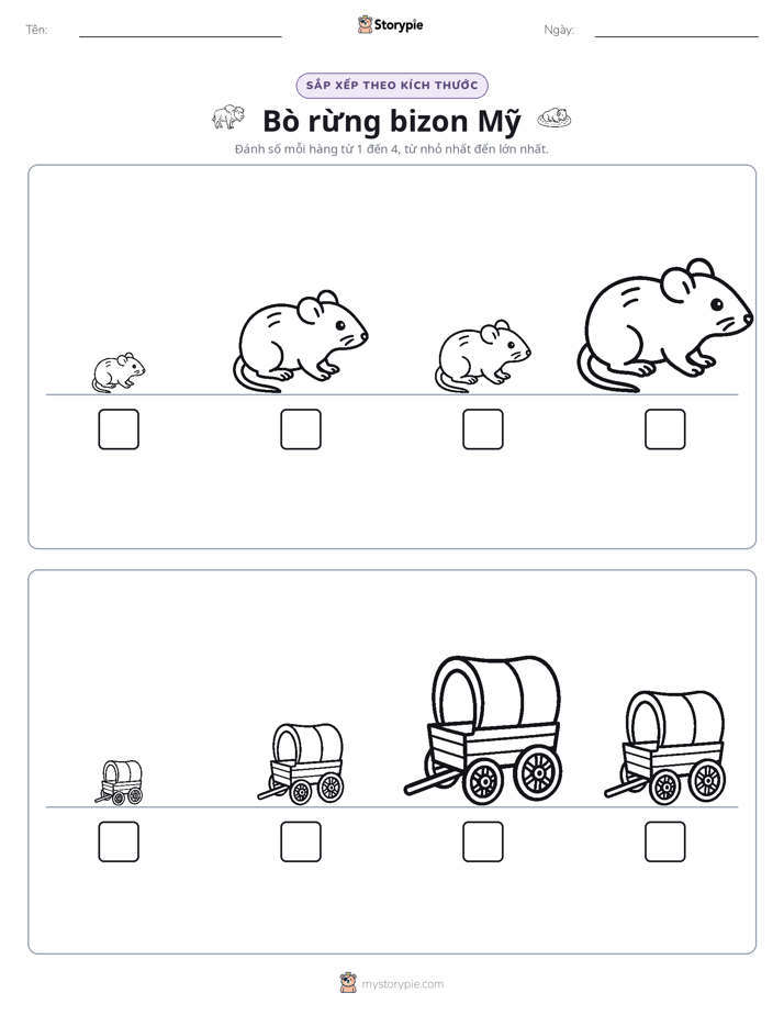 Thứ Tự Kích Thước