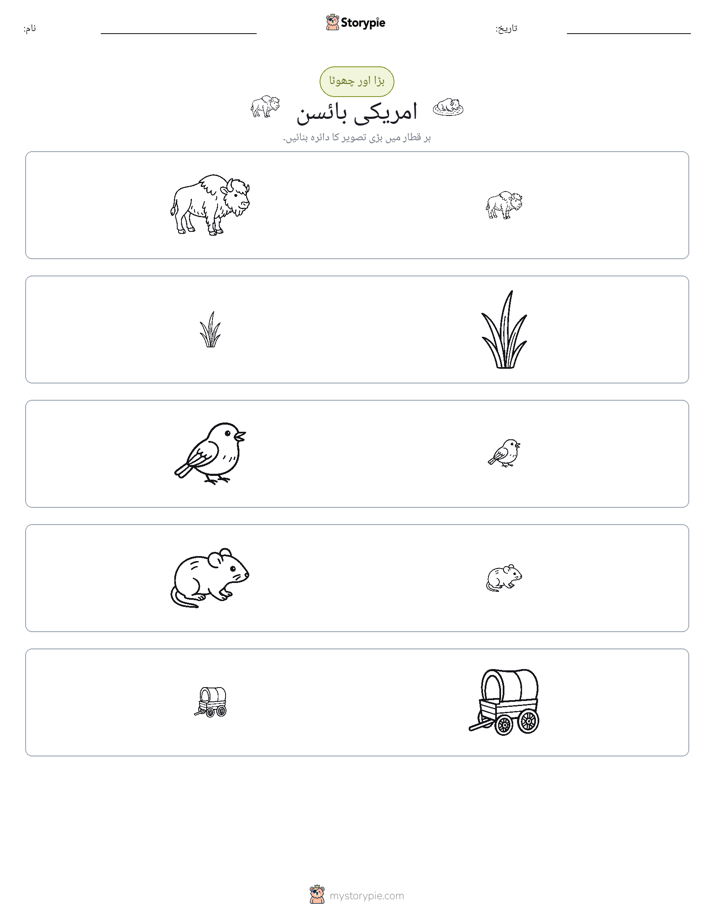ترتیب دینا