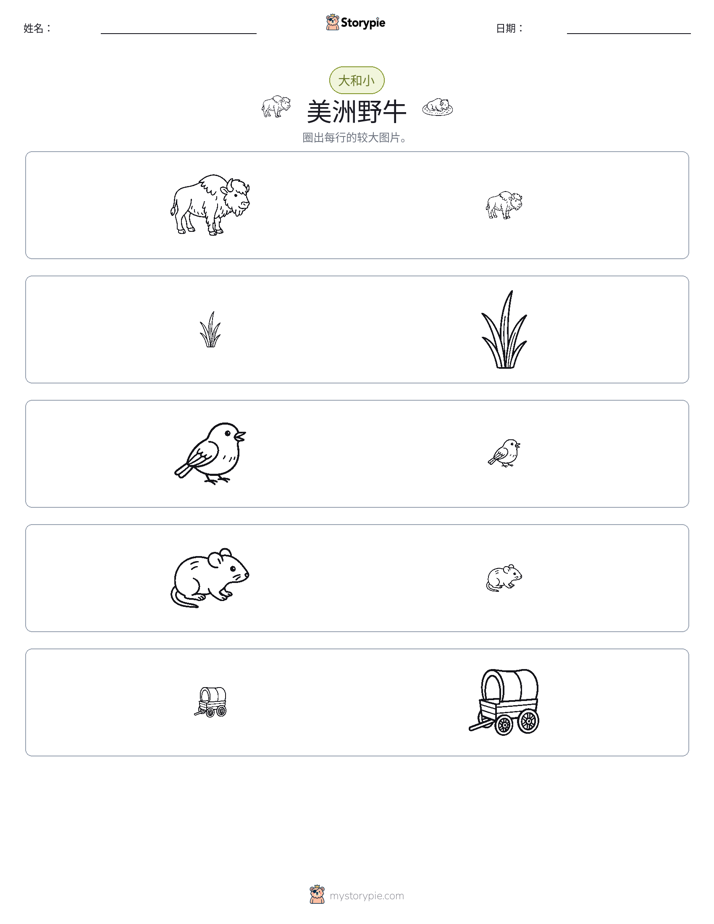分类
