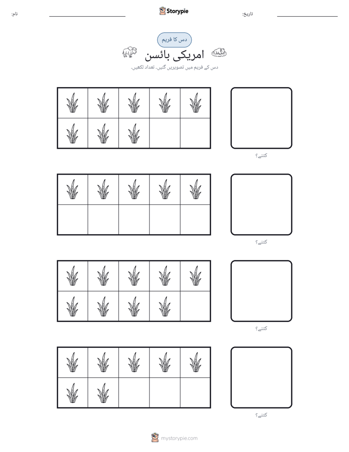 دس کا فریم