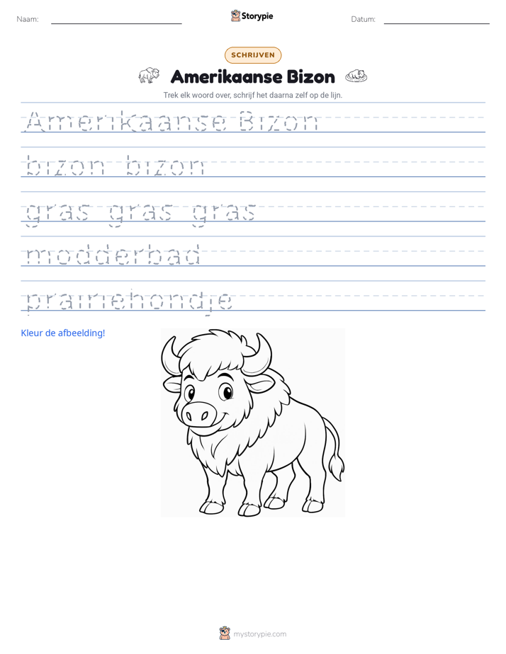 Schrijf Oefening