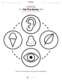 My Five Senses coloring page for kids