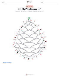 My Five Senses printable worksheet preview
