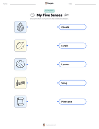 My Five Senses printable worksheet for kids