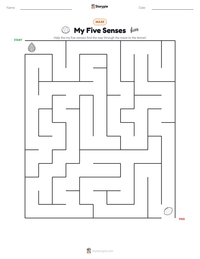 My Five Senses printable worksheet preview