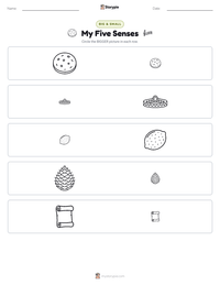 My Five Senses printable worksheet preview