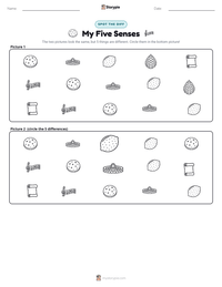 My Five Senses printable worksheet preview