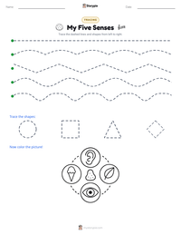 My Five Senses printable worksheet preview