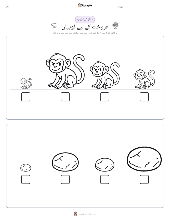 سائز کی ترتیب