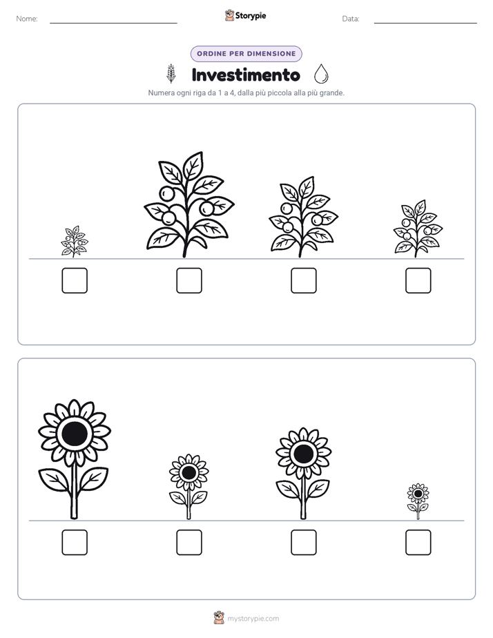 Ordine di Dimensione