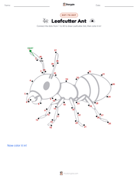 Leafcutter Ant printable worksheet preview