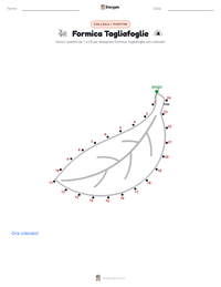 Anteprima della scheda stampabile di Formica Tagliafoglie