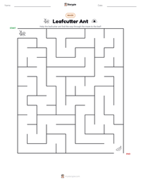 Leafcutter Ant printable worksheet preview