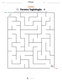 Anteprima della scheda stampabile di Formica Tagliafoglie