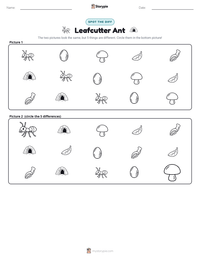 Leafcutter Ant printable worksheet preview