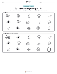 Anteprima della scheda stampabile di Formica Tagliafoglie
